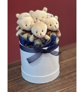 Peluş ayı kutusu
